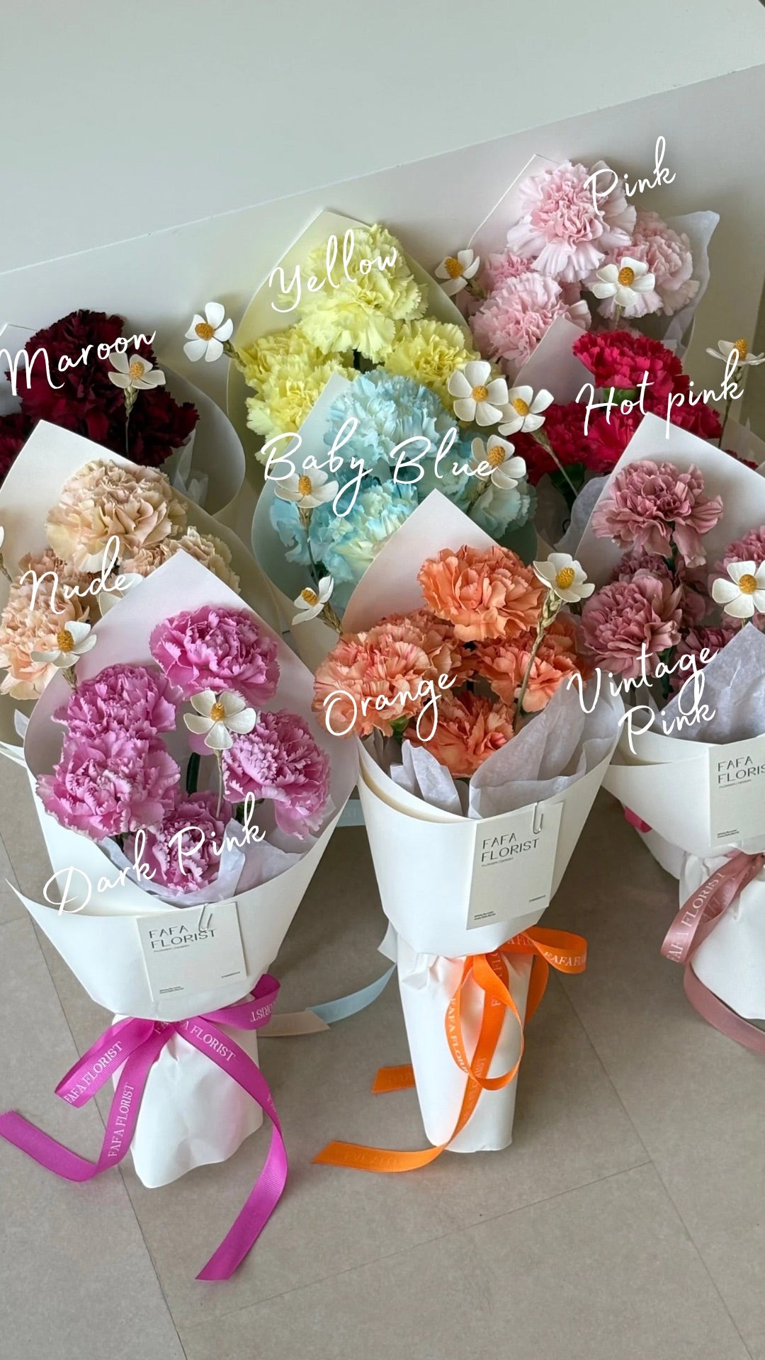 Carnation ; Collection (Bundle Offer)