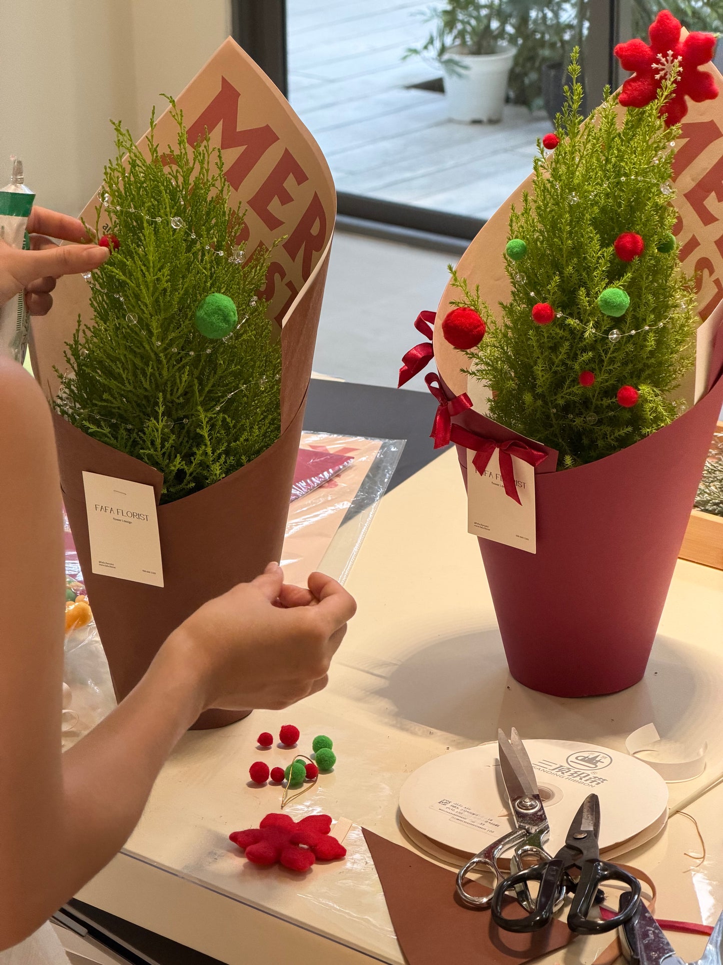 Lemon Cypress Potted Plant