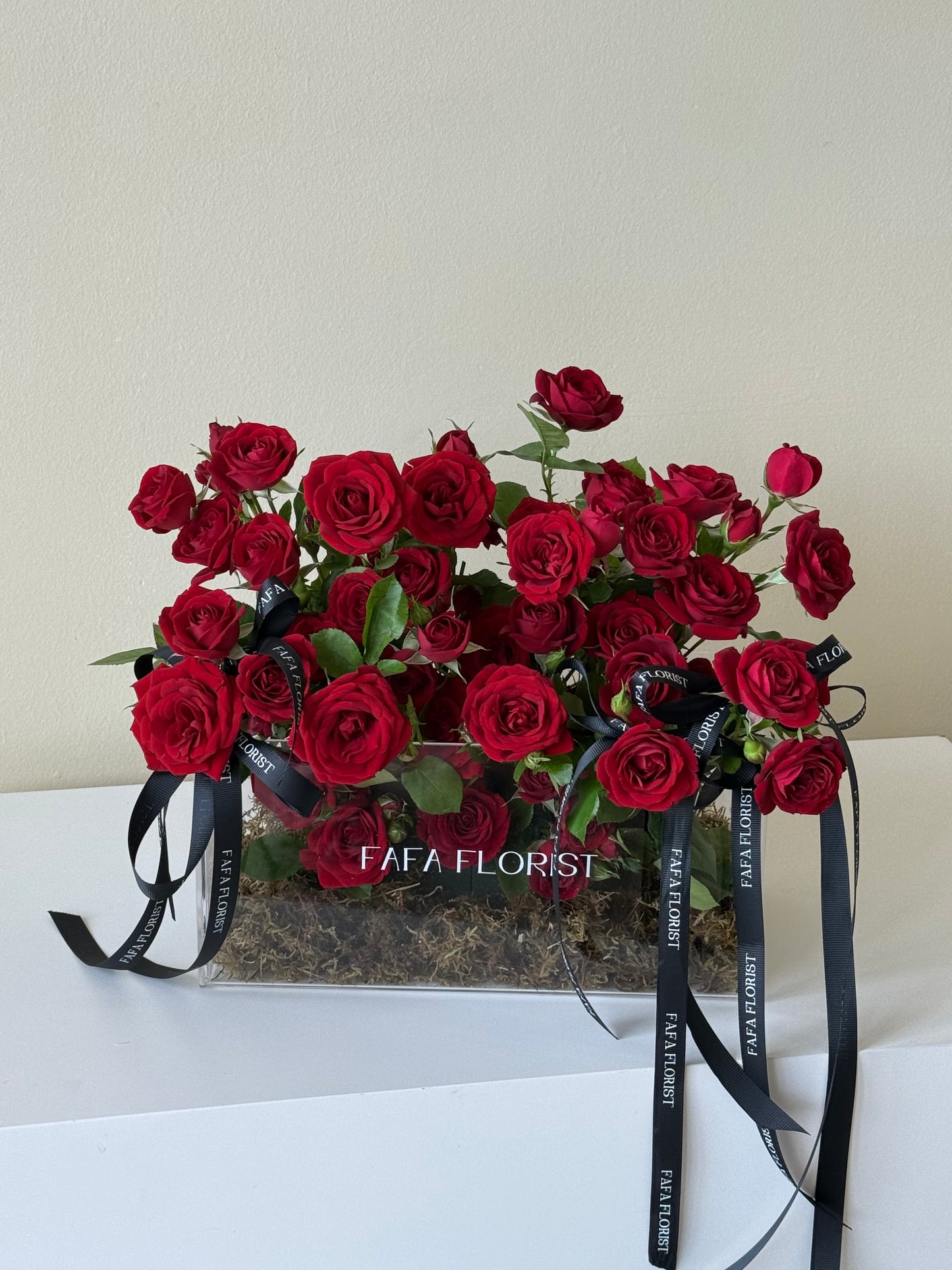 Garden Of ‘Mini Red Roses’ (M)