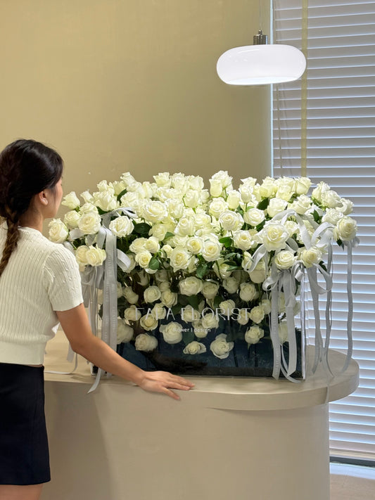 Garden Of ‘Roses’ (White Rose)
