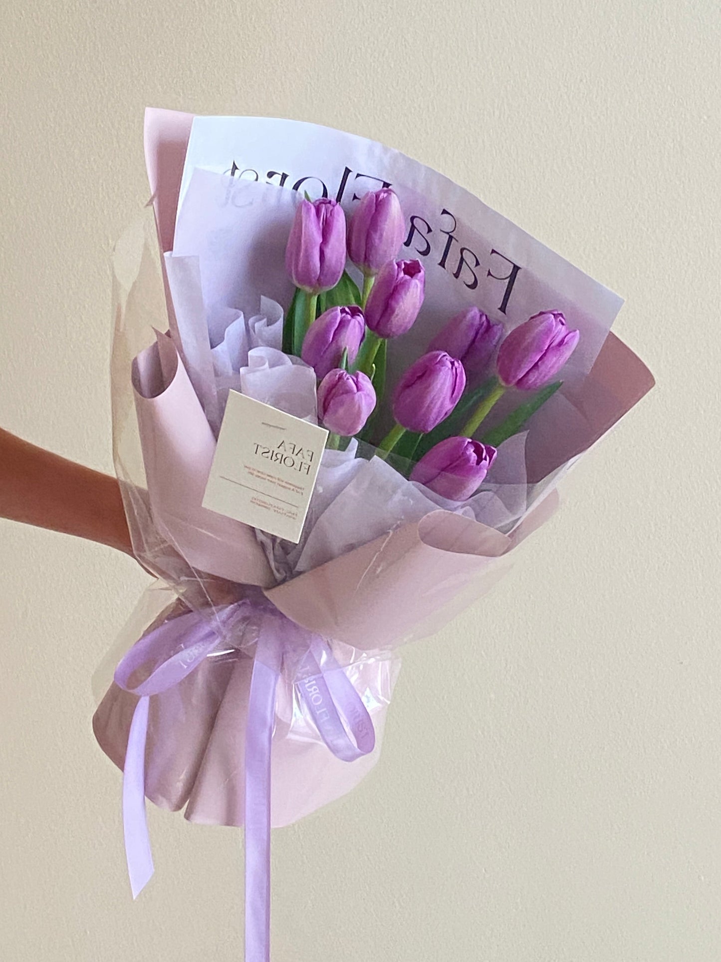 Purple Tulip