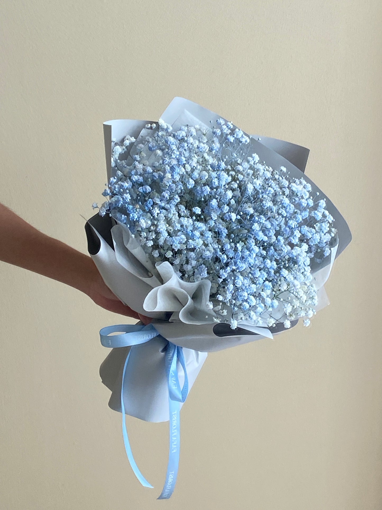 Baby Breath Blue