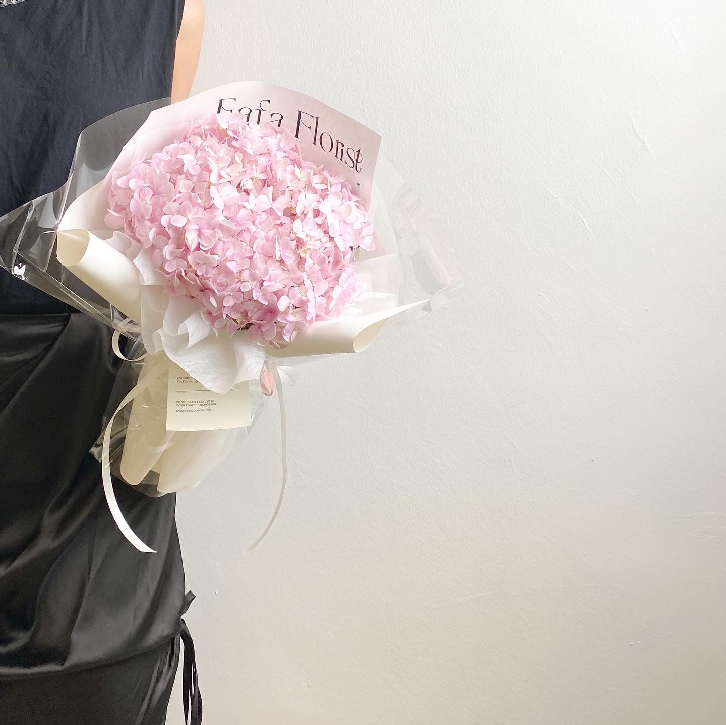 SINGLE HYDRANGEA