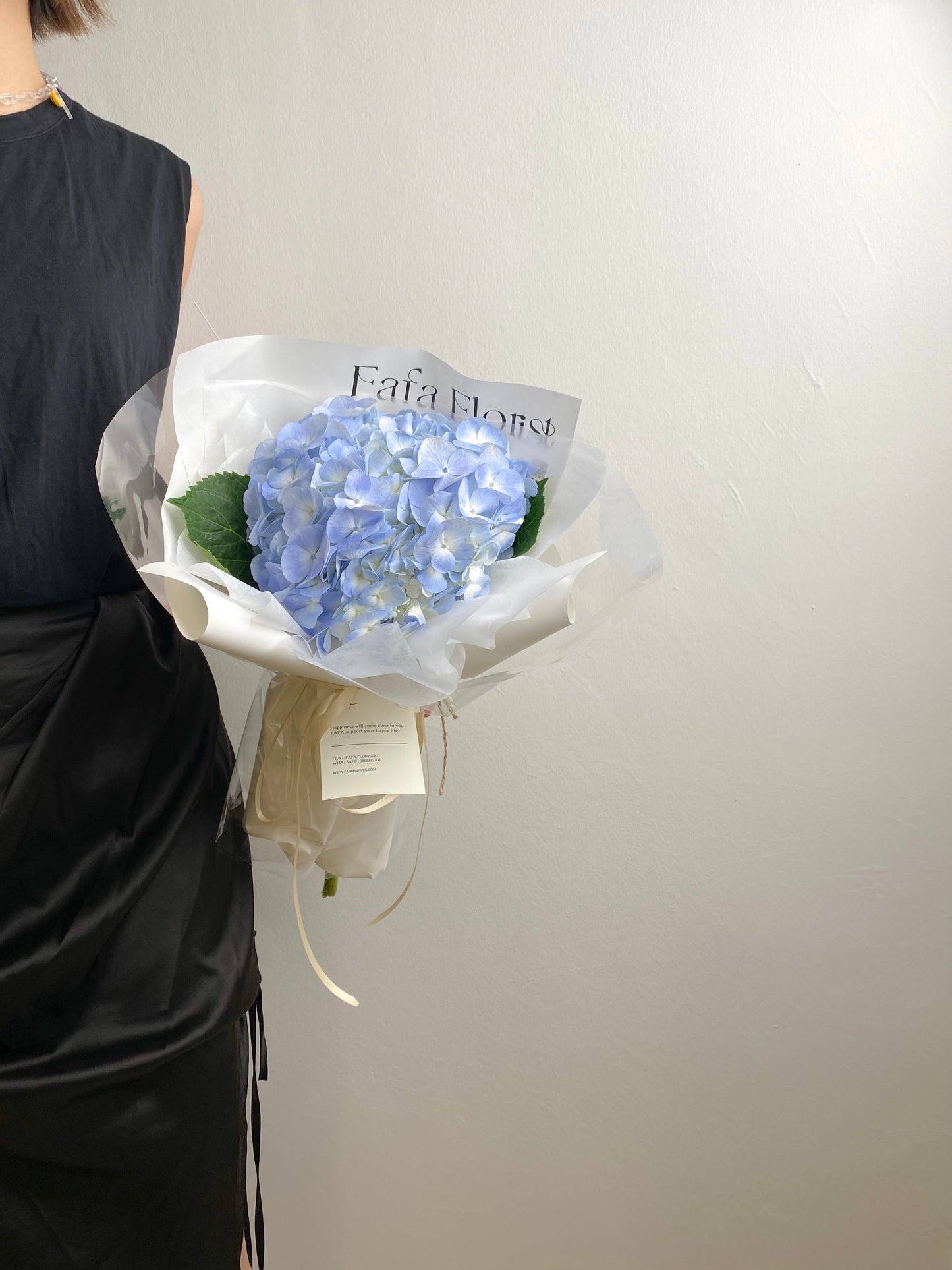 SINGLE HYDRANGEA