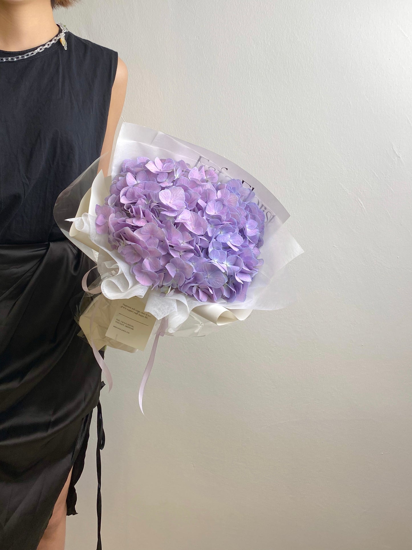 SINGLE HYDRANGEA