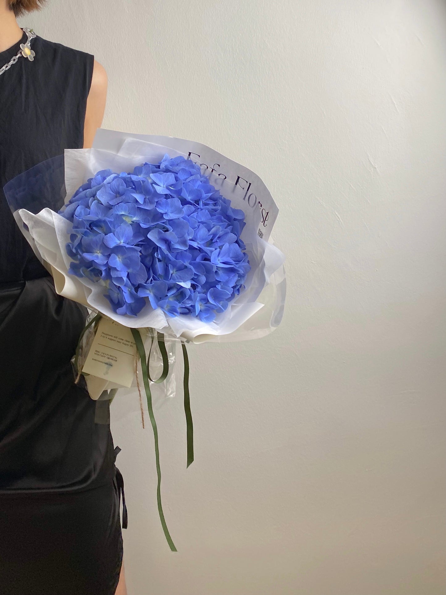 SINGLE HYDRANGEA