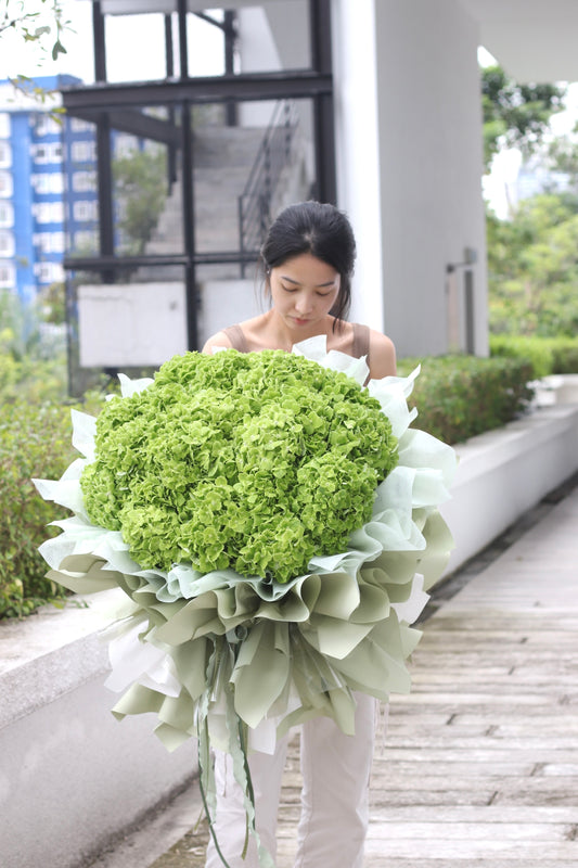 XXL Green Hydrangea