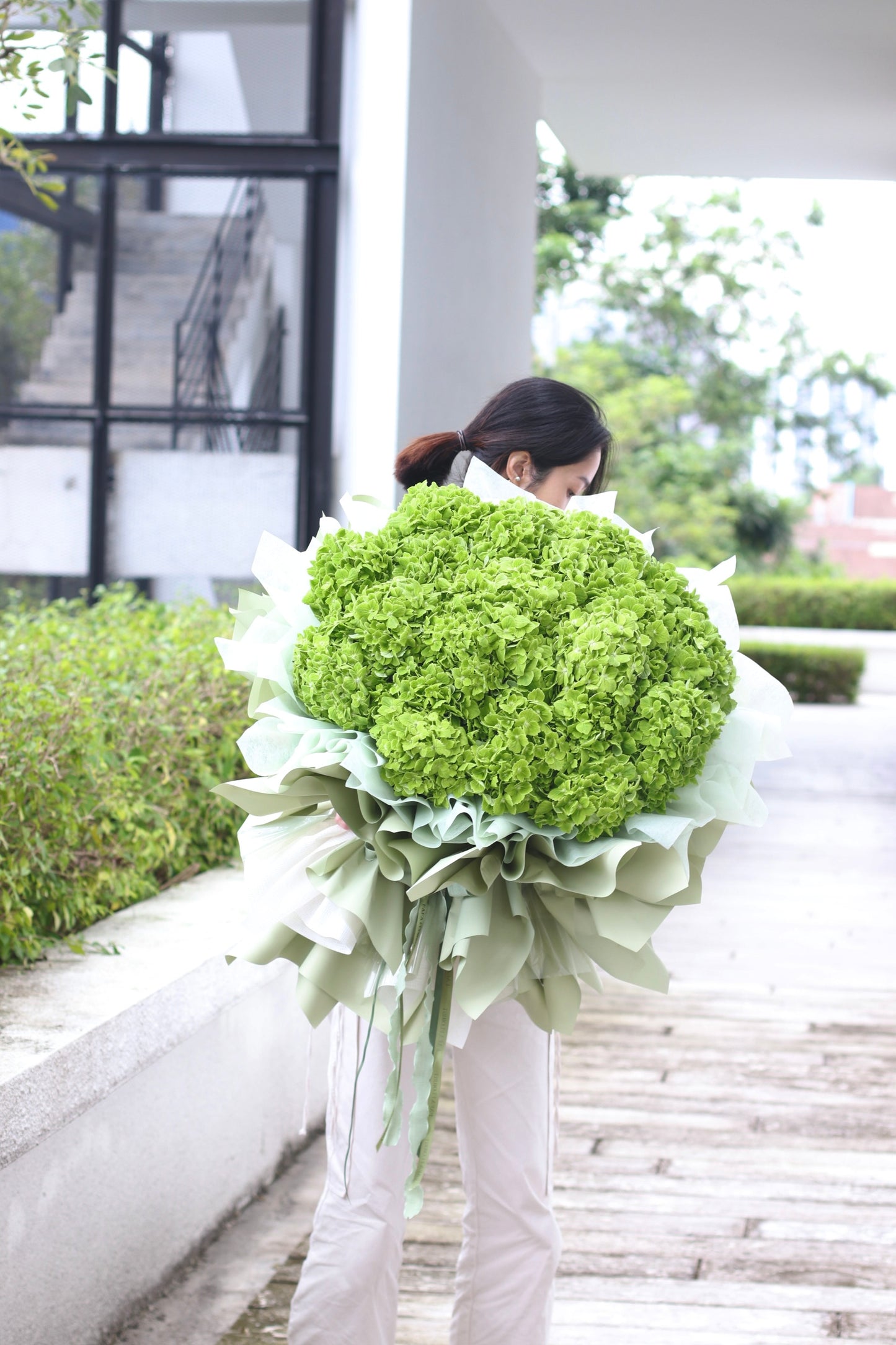 XXL Green Hydrangea