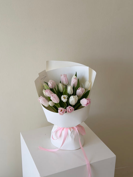 Pink & White Tulip
