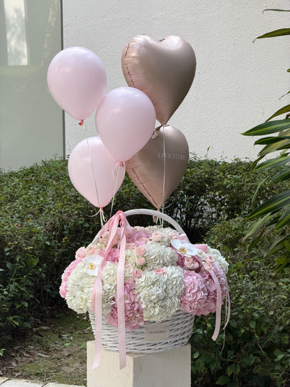 Hydrangea Giant Basket