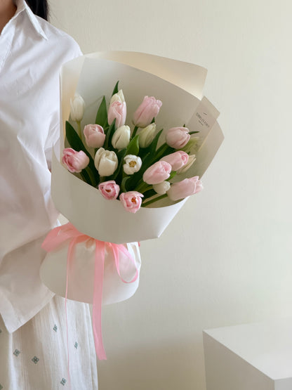 Pink & White Tulip