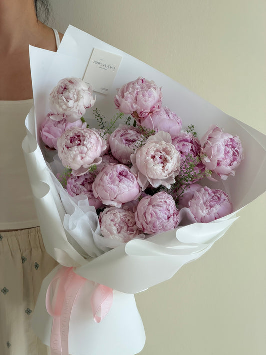 Pink Peony