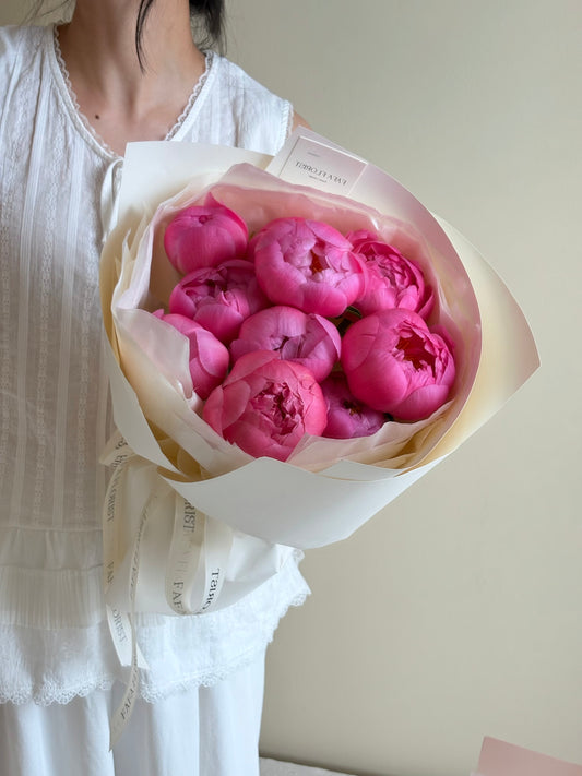Coral Peony