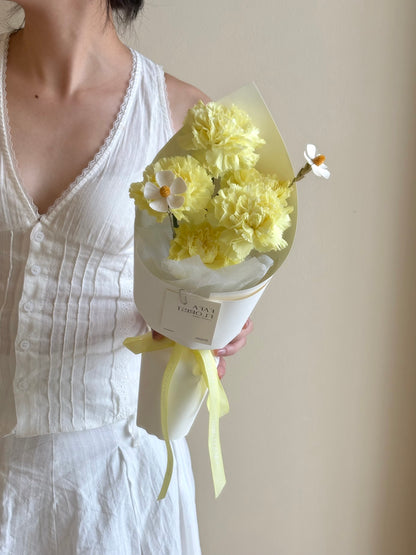Carnation ; Collection (Bundle Offer)