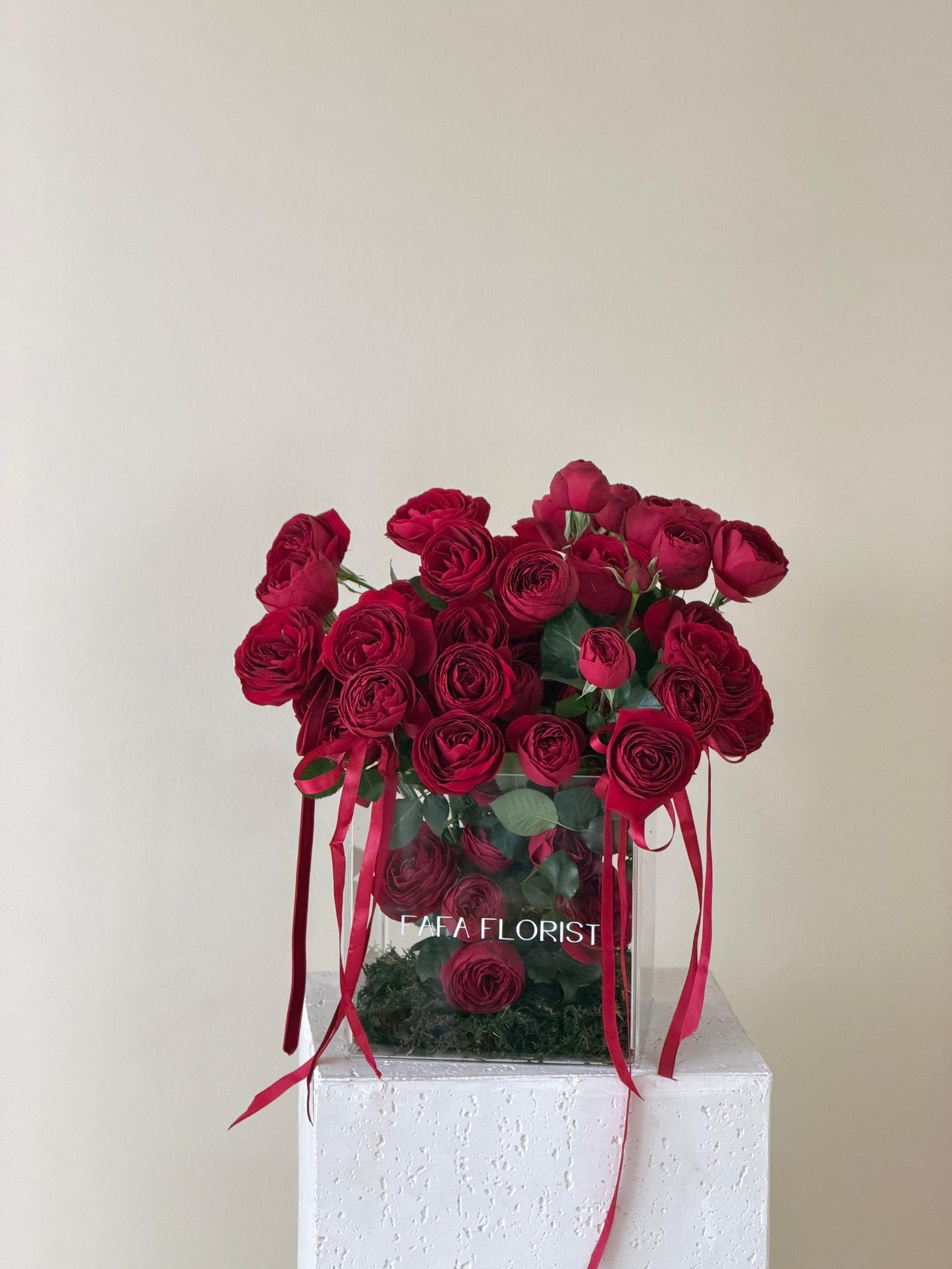 Garden Of ‘Mini Roses’ Red Lace  (M)