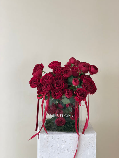 Garden Of ‘Mini Roses’ Red Lace  (M)