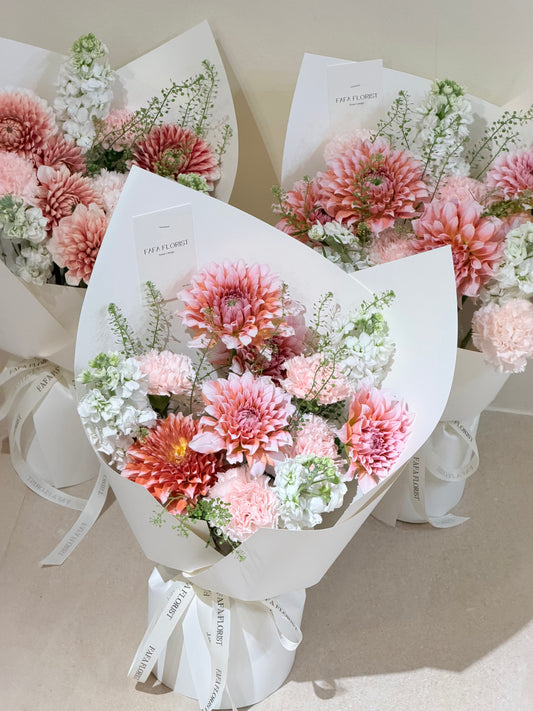 Salmon Dahlia S