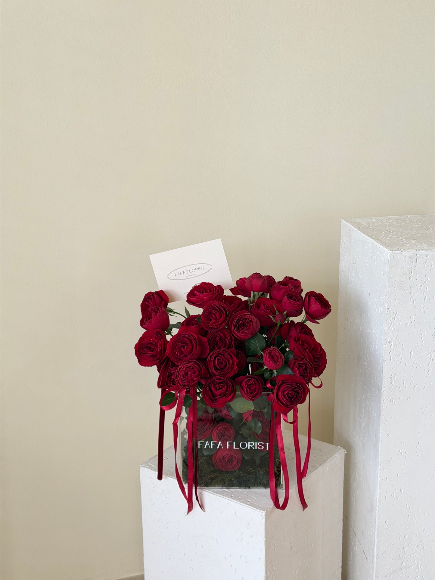 Garden Of ‘Mini Roses’ Red Lace  (M)