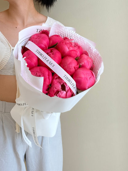 Sunset Coral Peony