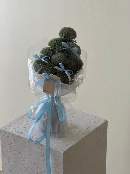 Christmas Green Tick