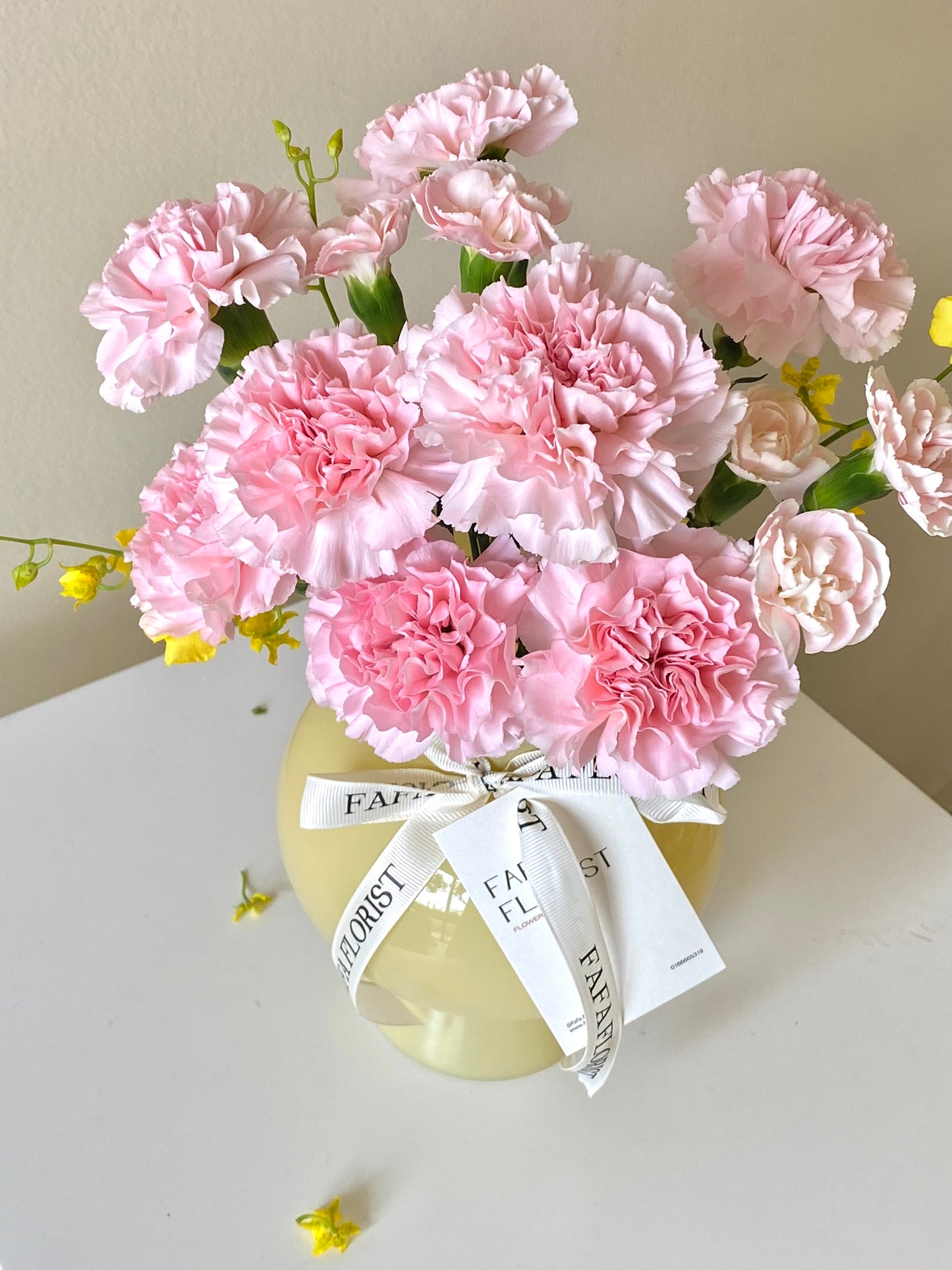 Carnation In Vase