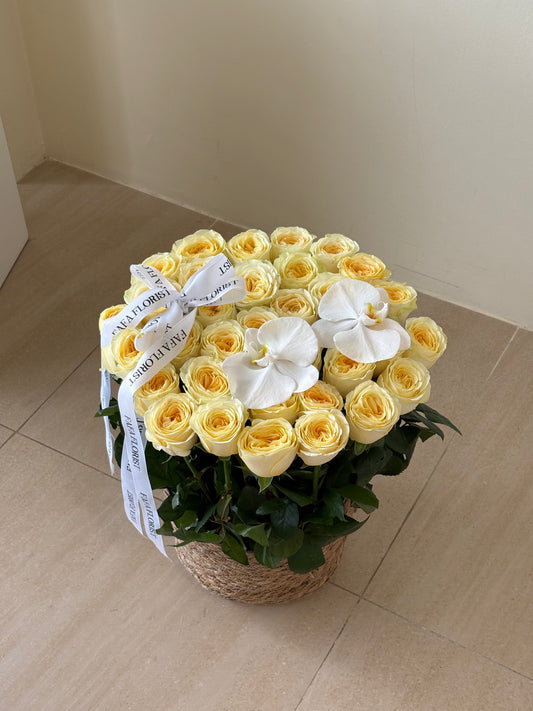 Buttercup Rose Basket 🧺