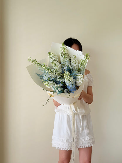Premium Blue Delphinium