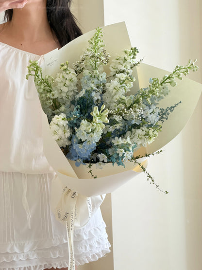 Premium Blue Delphinium