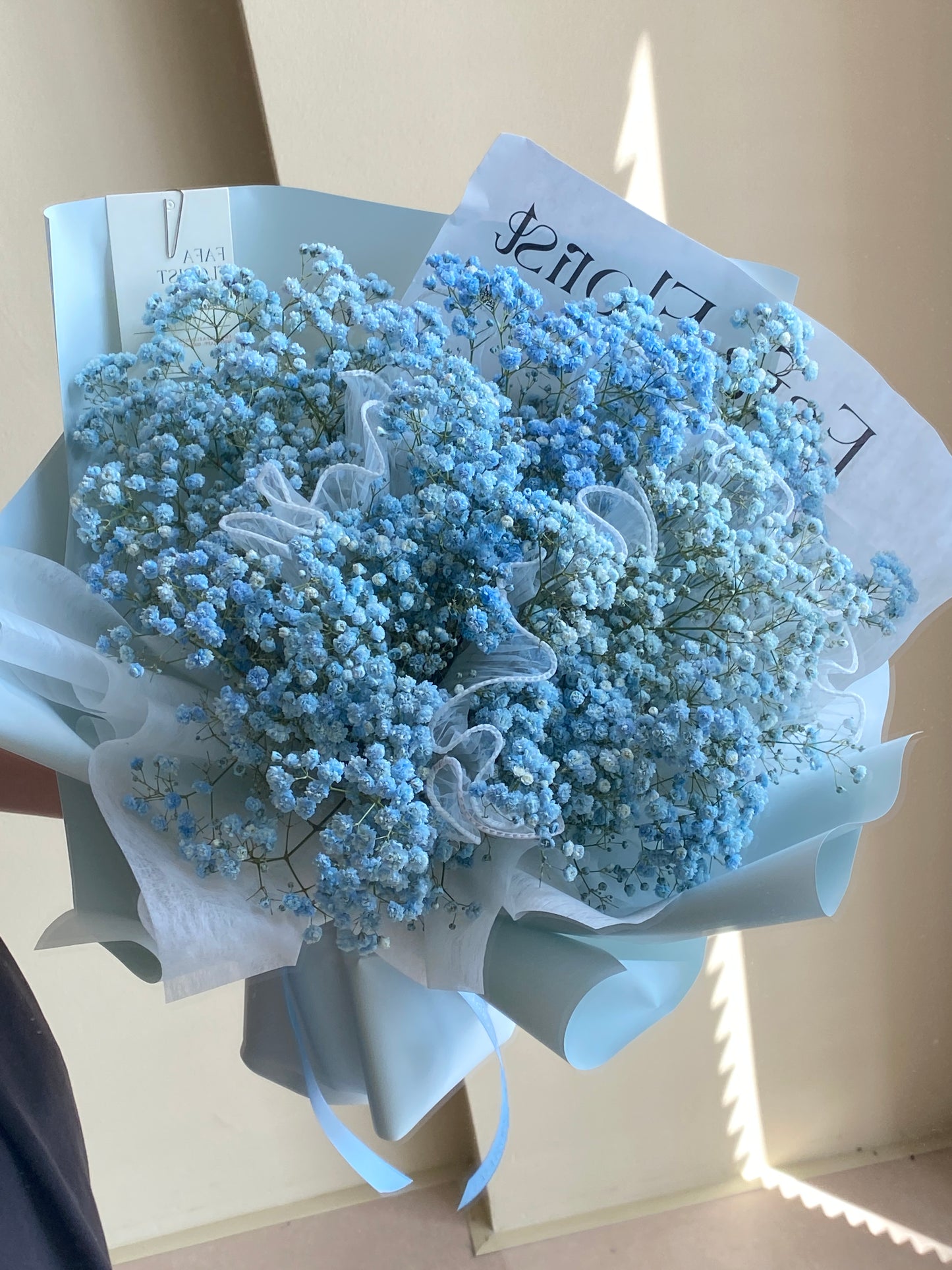 Blue Baby Breath (Lace)