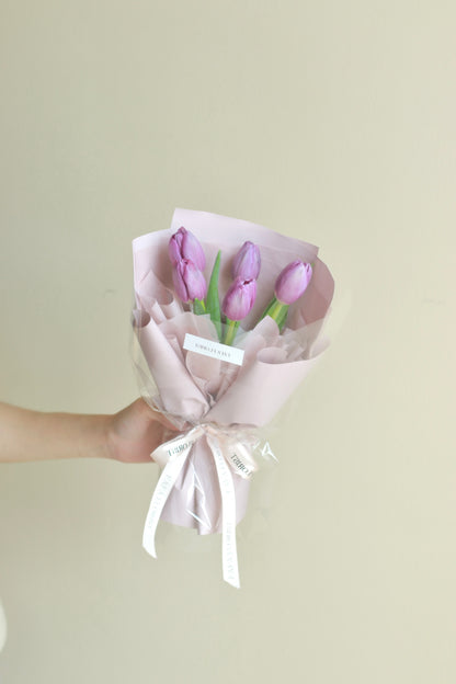 Petite purple tulip