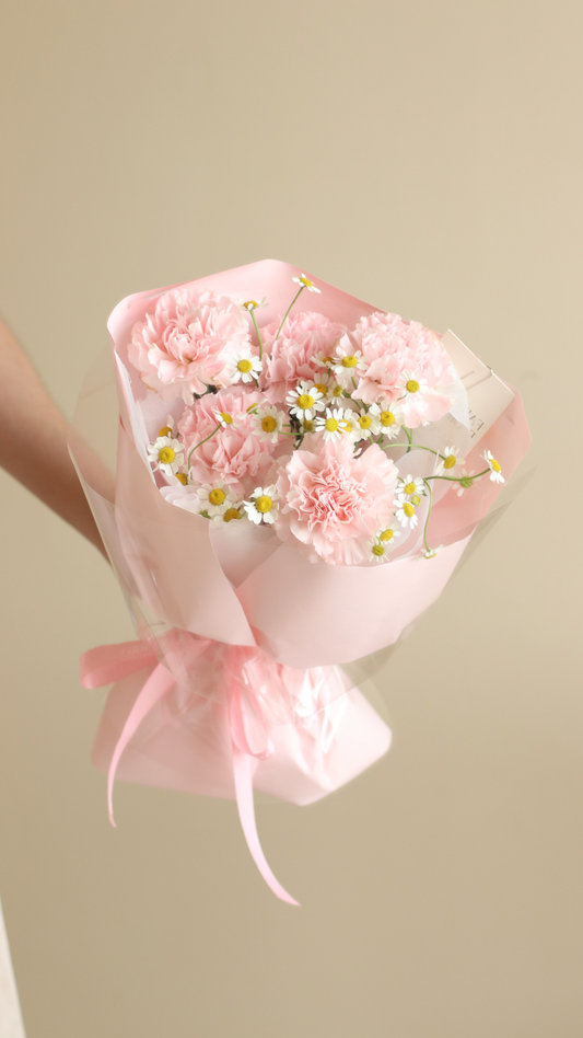 Carnation Soft Pink